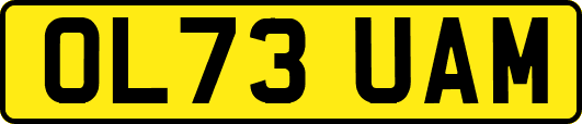 OL73UAM