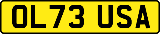 OL73USA