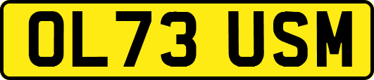 OL73USM