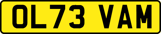 OL73VAM
