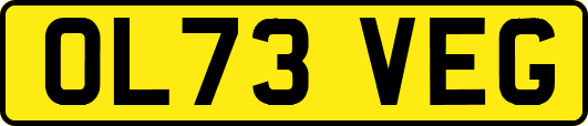 OL73VEG