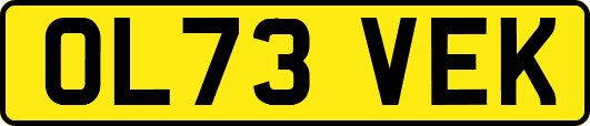 OL73VEK