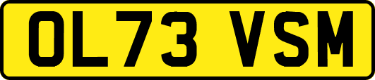 OL73VSM