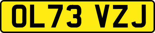 OL73VZJ