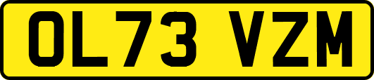 OL73VZM