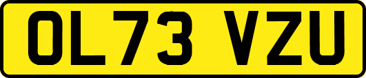 OL73VZU