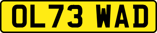 OL73WAD