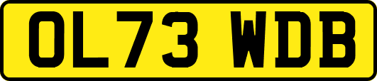 OL73WDB