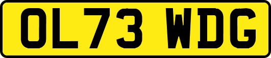 OL73WDG