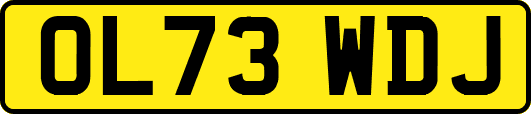 OL73WDJ