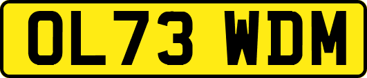 OL73WDM