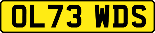 OL73WDS
