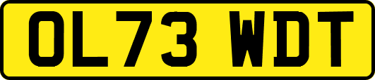 OL73WDT