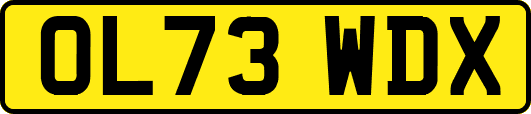 OL73WDX