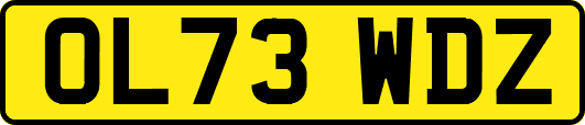 OL73WDZ