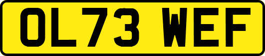 OL73WEF