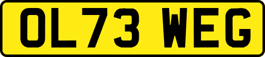 OL73WEG