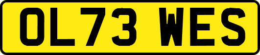 OL73WES