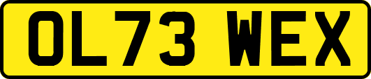 OL73WEX