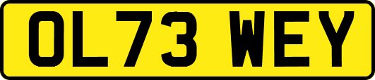 OL73WEY