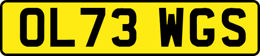 OL73WGS