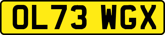 OL73WGX