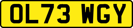 OL73WGY
