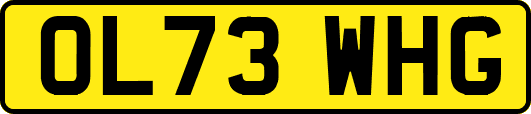 OL73WHG