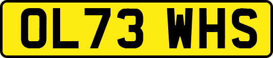 OL73WHS