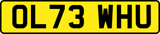 OL73WHU