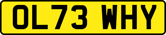 OL73WHY