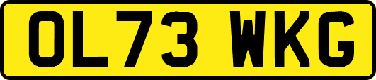 OL73WKG