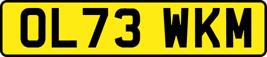 OL73WKM