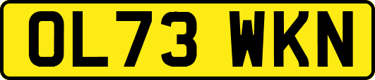 OL73WKN
