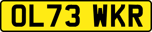OL73WKR