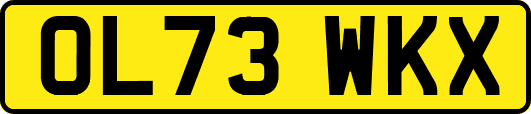 OL73WKX