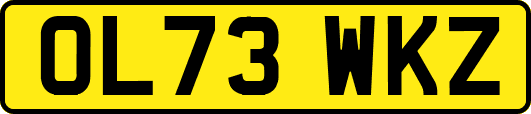 OL73WKZ