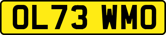 OL73WMO