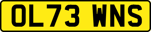 OL73WNS