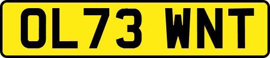 OL73WNT