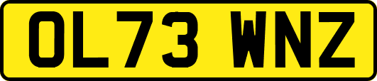 OL73WNZ