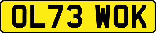 OL73WOK