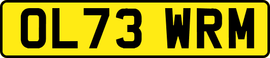 OL73WRM