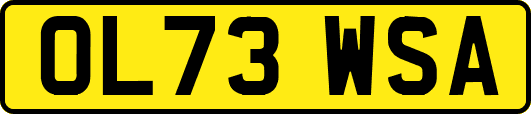 OL73WSA