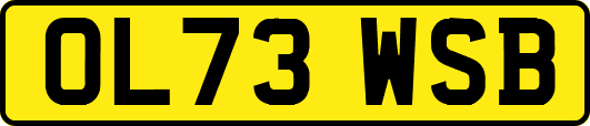 OL73WSB