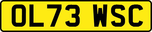 OL73WSC