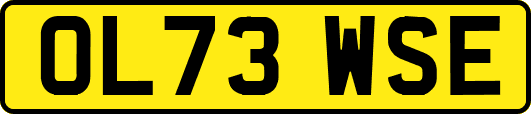 OL73WSE