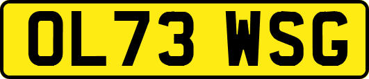 OL73WSG