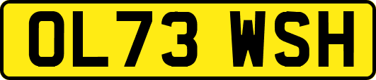 OL73WSH