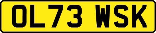 OL73WSK